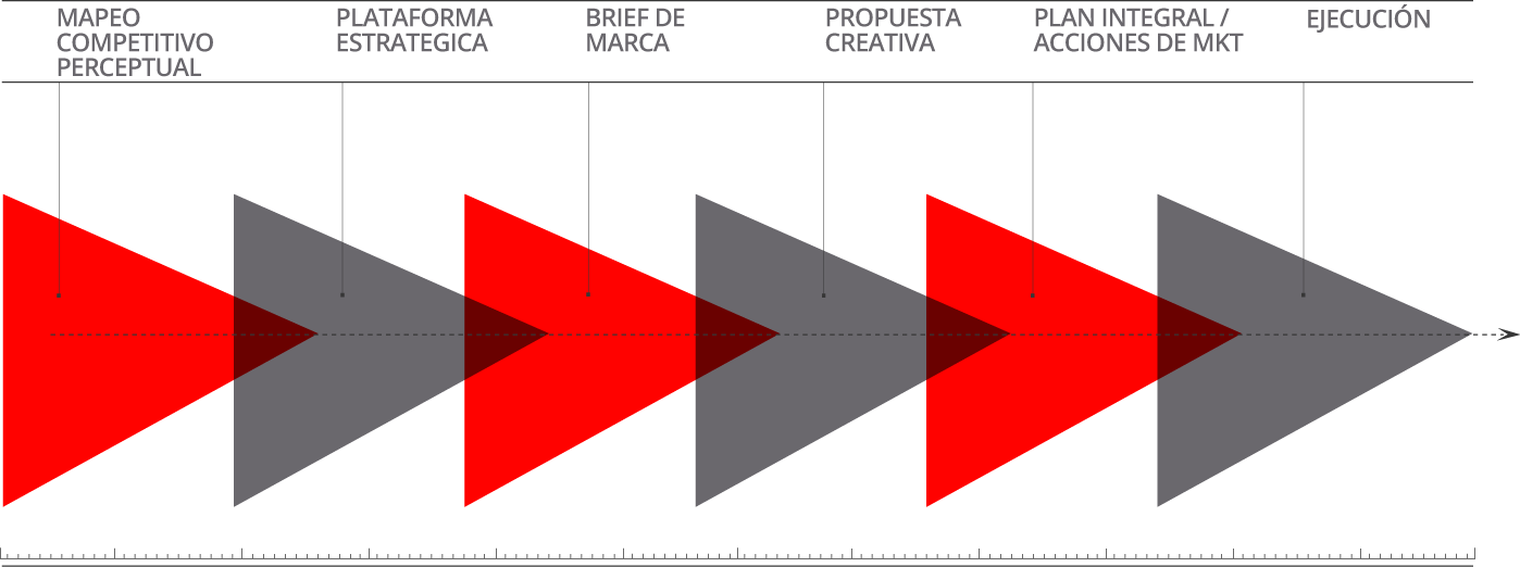 Proceso de Trabajo | R. Treviño & Asociados