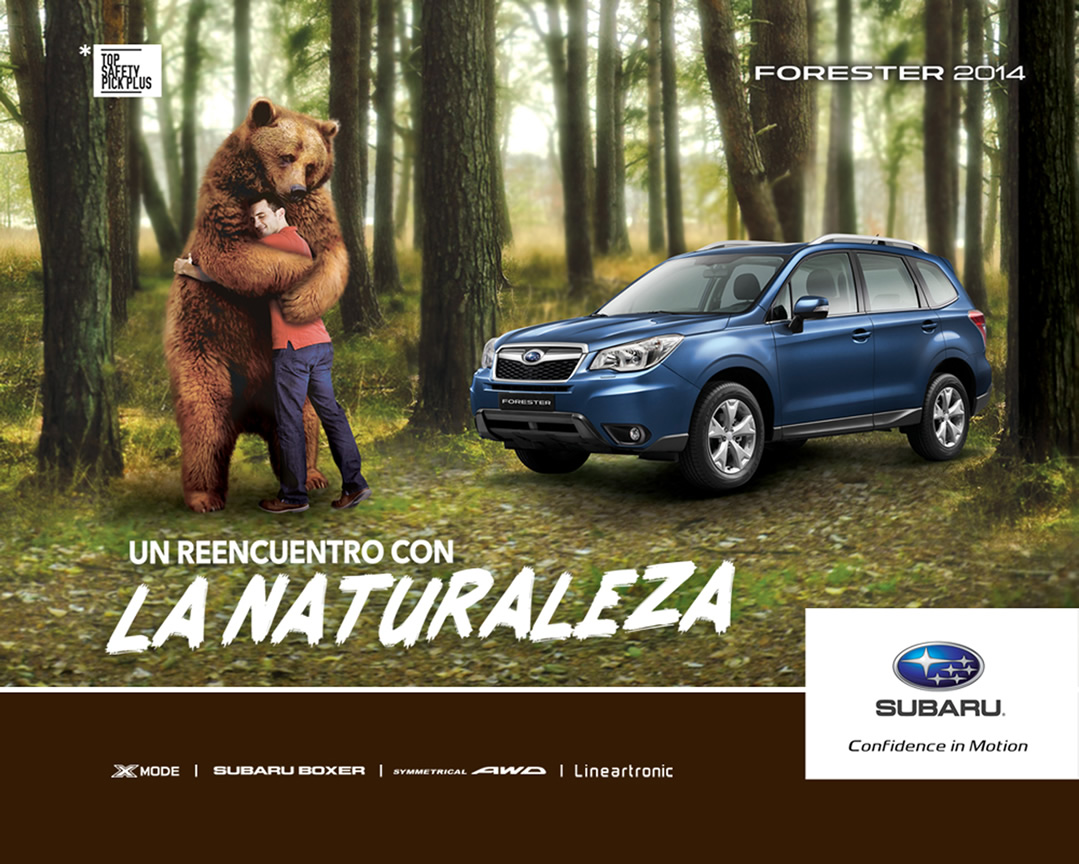 Subaru Confidence in Motion | R. Treviño & Asociados