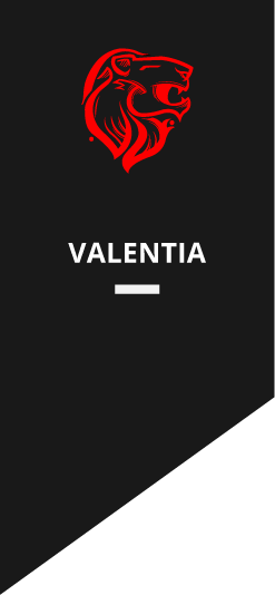 Estandarte Valentía | R. Treviño & Asociados